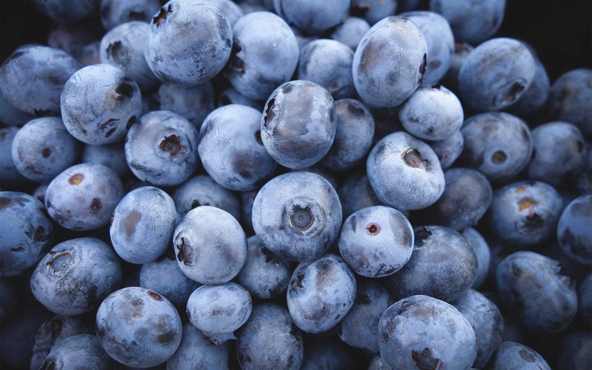 Farmhouse Gourmet blueberries