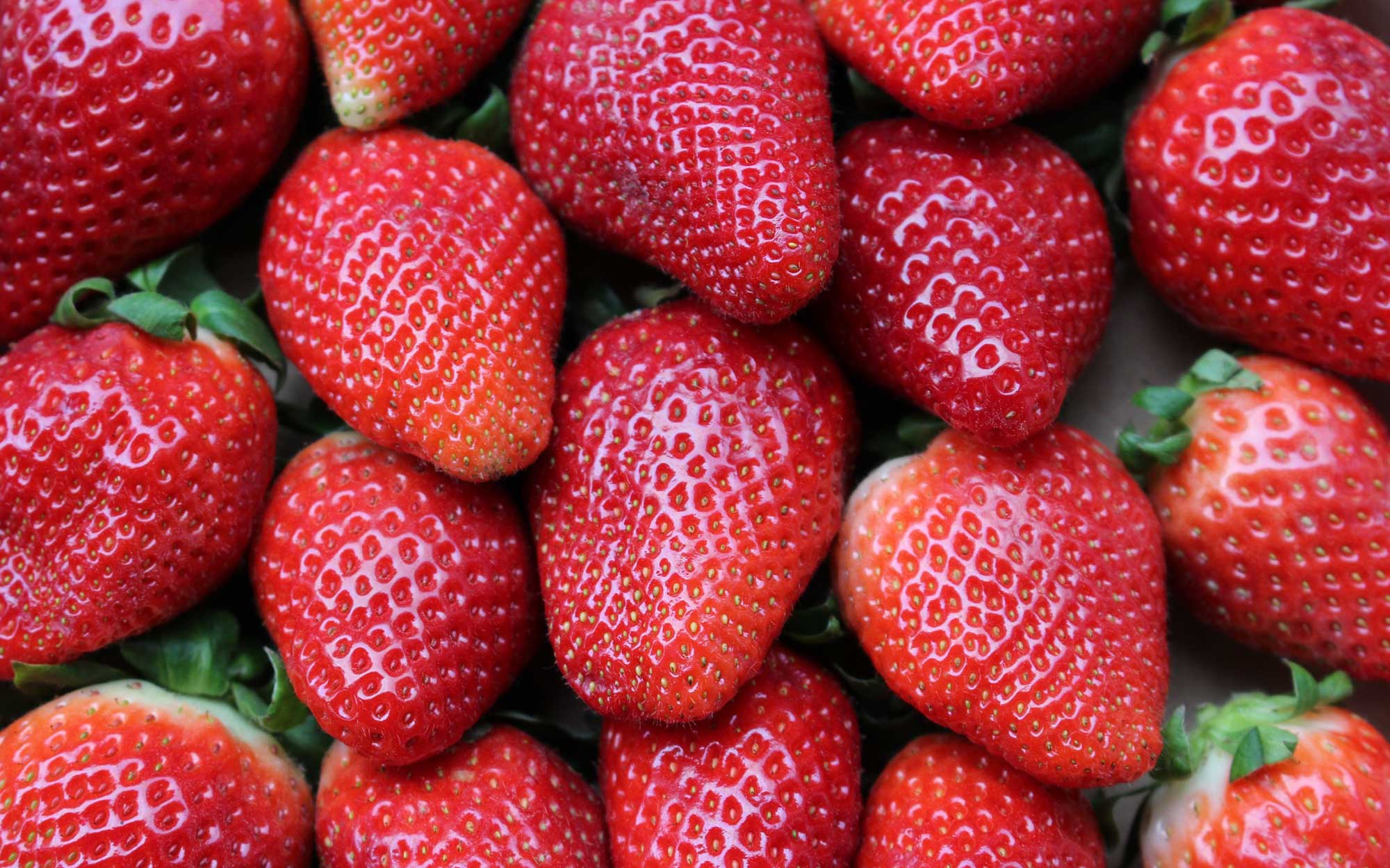 Farmhouse Gourmet strawberries