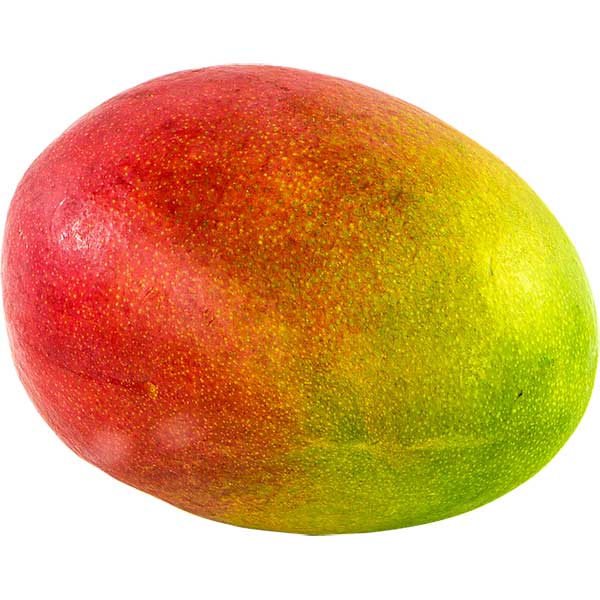 Farmhouse Gourmet mango