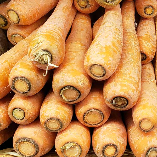 Farmhouse Gourmet - carrots