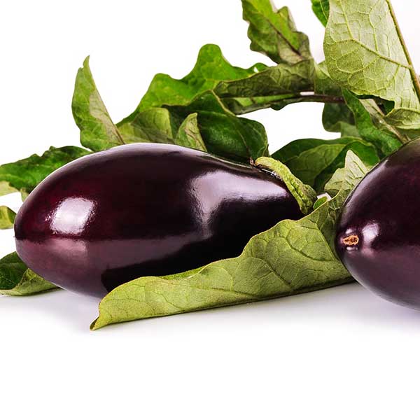 Farmhouse Gourmet eggplant