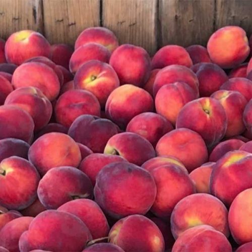 Farmhouse Gourmet peaches