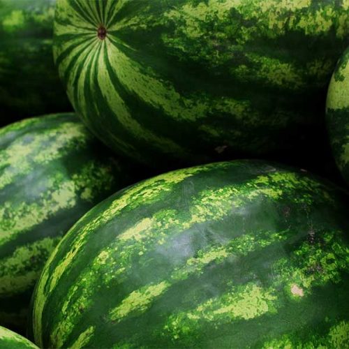 Farmhouse Gourmet watermelon