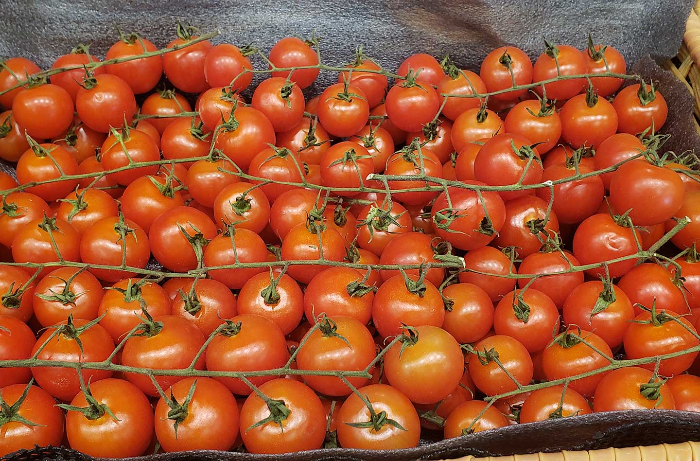 The Farmhouse Gourmet: Grape Tomatoes on the Vine