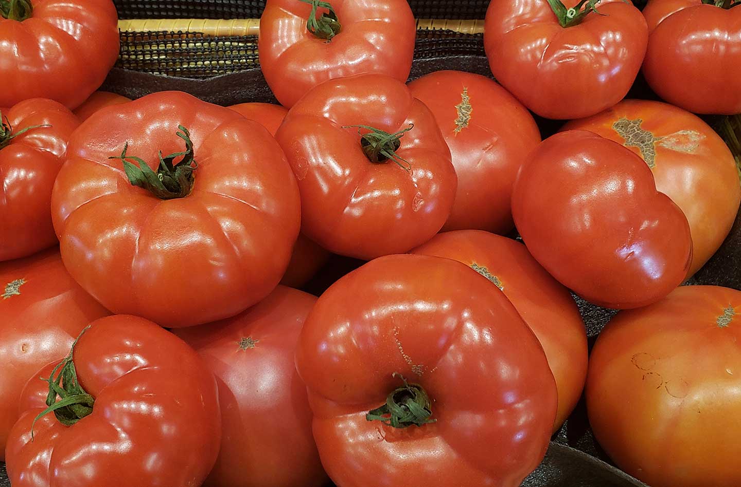 The Farmhouse Gourmet: Tomatoes