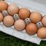 Dozen farm eggs