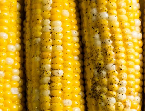 Grilled Bi-Color Corn on the Cob